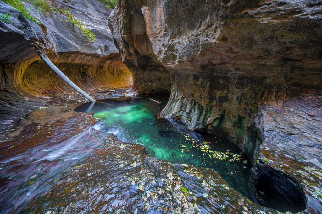 The Subway At Zion